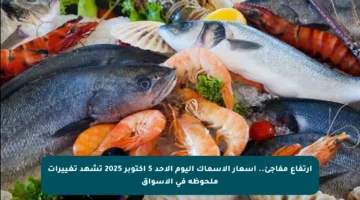 ارتفاع مفاجئ.. أسعار الأسماك اليوم الأحد 5 أكتوبر 2025 تشهد تغييرات ملحوظة في الأسواق
